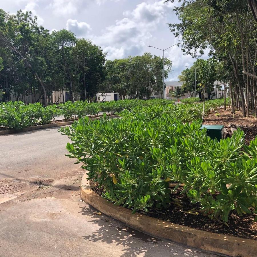 Homestay Casa Limpia Bonita Dos Plantas 5 Habitantes En Cancun
